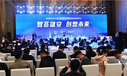 雄安新區(qū)舉辦2023軟件和信息技術(shù)服務(wù)業(yè)創(chuàng)新發(fā)展論壇 共筑數(shù)字未來(lái)新引擎